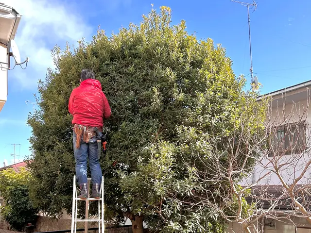 【40年以上の実績】丁寧な仕事で庭を美しく蘇らせますサービスの画像