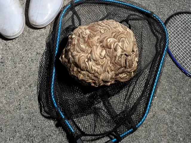 大手経験者が迅速に対応！営業時間外・対応地域外も相談可能で安心の自社スタッフ作業サービスの画像