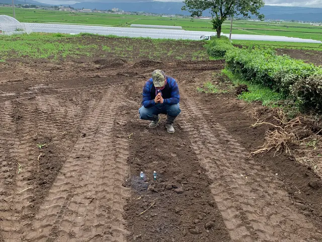 【長年経験あり】お客様の満足頂ける作業を致します【すべて自社対応】損害保険加入済サービスの画像