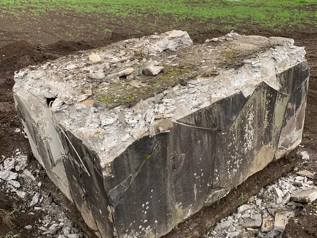 【長年経験あり】お客様の満足頂ける作業を致します【すべて自社対応】損害保険加入済サービスの画像