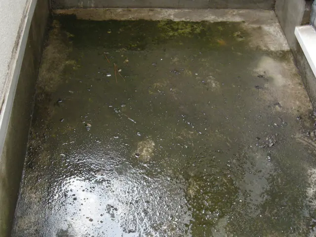 【業界実績20年】高圧洗浄を必ず使用。隅々まで綺麗にします。PayPay対応店。サービスの画像