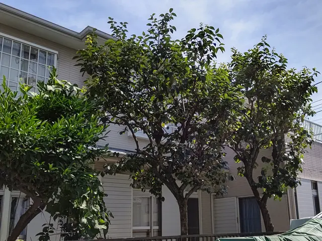 【植木屋歴10年】庭園管理士、造園技能士資格保有！すべて自社対応！サービスの画像