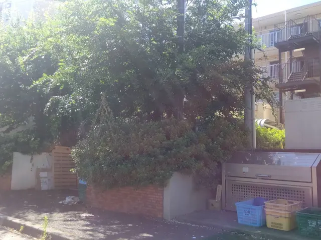 【植木屋歴10年】庭園管理士、造園技能士資格保有！すべて自社対応！サービスの画像