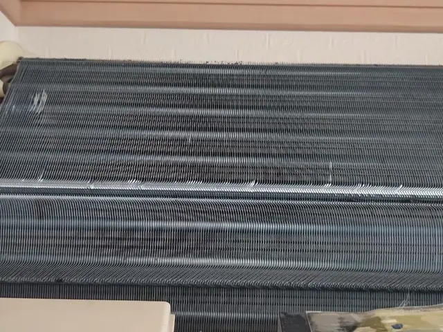 【黒いカビ】大事なのはクリーニングとメンテナンス！簡易レクチャーも！サービスの画像