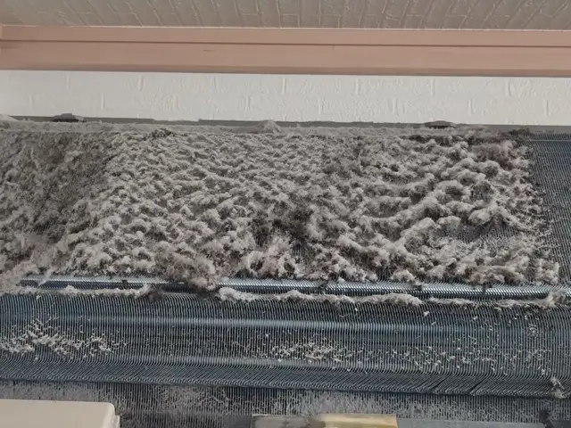 【黒いカビ】大事なのはクリーニングとメンテナンス！簡易レクチャーも！サービスの画像