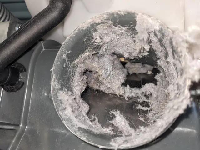 [洗濯機・ドラム式クリーニング]クレカ-IC-paypay-現金対応可サービスの画像