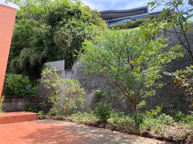 【6月出店】9年の実績で美しい庭を！信頼と技術の剪定プロフェッショナルサービスの画像