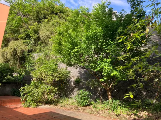 【6月出店】9年の実績で美しい庭を！信頼と技術の剪定プロフェッショナルサービスの画像