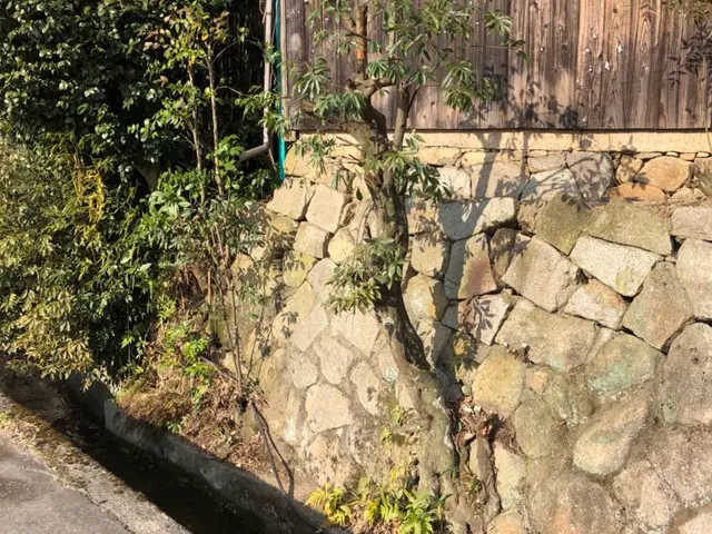 [滋賀☆京都] 安く伐採したい！スッキリしたい！[草刈や剪定と]組み合せ可能サービスの画像