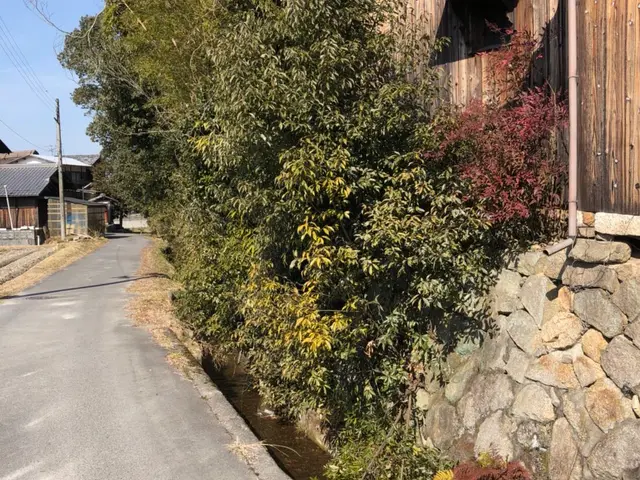 [滋賀☆京都] 安く伐採したい！スッキリしたい！[草刈や剪定と]組み合せ可能サービスの画像