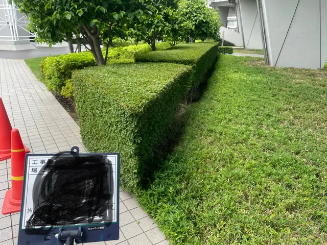 【女性スタッフ同行可！】大手経験者による仕上がり満足度重視の自社施工専門店！サービスの画像