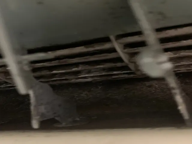 11月末まで除菌消臭無料！ 1台からでもお得です！ 複数台は更にお得です！！サービスの画像