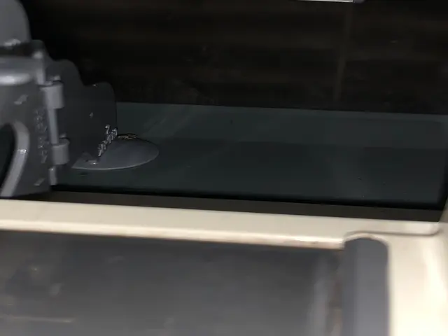 11月末まで除菌消臭無料！ 1台からでもお得です！ 複数台は更にお得です！！サービスの画像