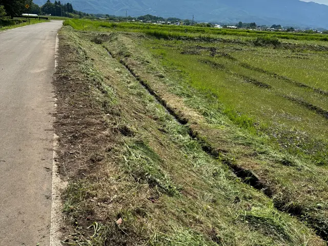 最後まで責任持って対応◎豊富な経験で安心！女性スタッフが作業します！サービスの画像