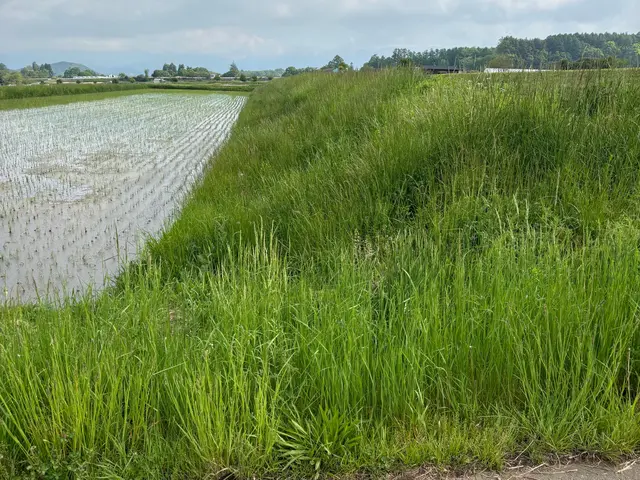 最後まで責任持って対応◎豊富な経験で安心！女性スタッフが作業します！サービスの画像