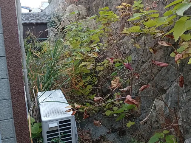 ハウスクリーニング士認定の自社スタッフが長期信頼関係を築きますサービスの画像