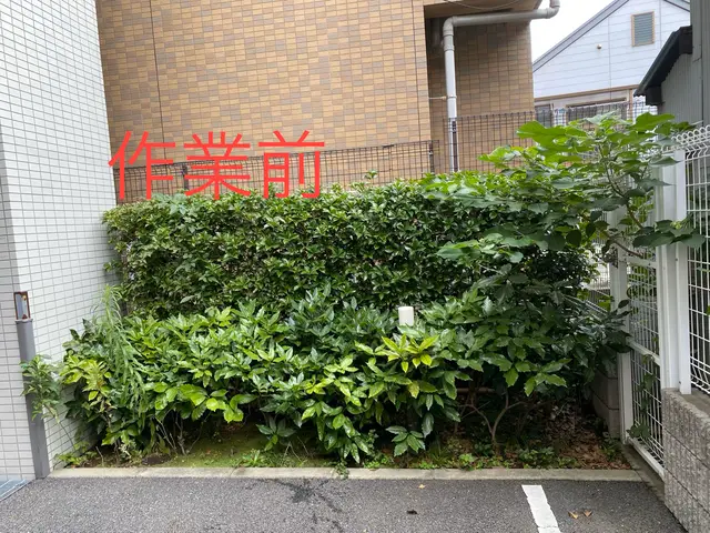 初めてのお客様歓迎！【2024アワード選出】カード払いも可♪サービスの画像