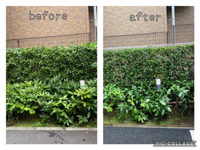 初めてのお客様歓迎！【2024アワード選出】カード払いも可♪サービスの画像