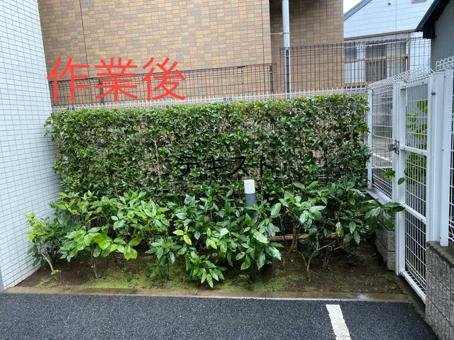 初めてのお客様歓迎！【2024アワード選出】カード払いも可♪サービスの画像