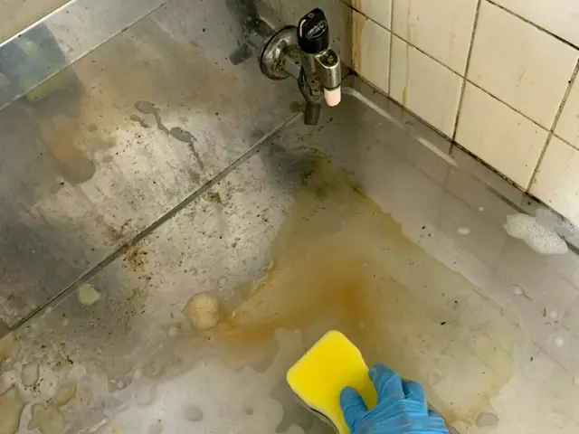 キッチンクリーニング清掃！汚いヌメリ汚れ、油、除去致します。掃除時間がない方必見サービスの画像