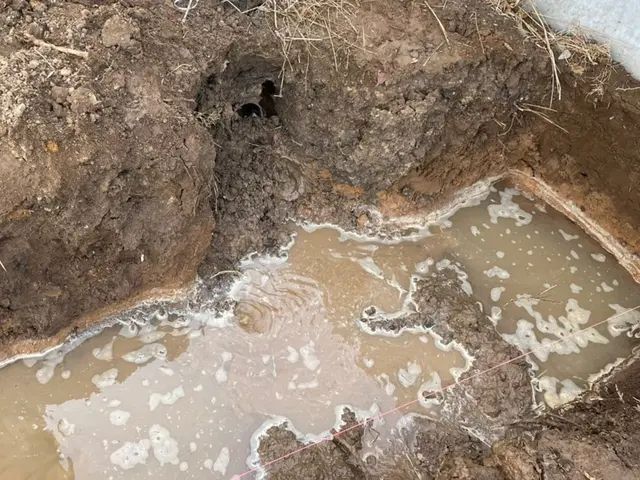 【2023年くらしのマーケットアワード入選】クレカ・電子マネー・PayPay可サービスの画像