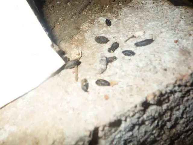 ＜安心価格・安心施工を心がけております＞経験豊富なスタッフが対応！サービスの画像