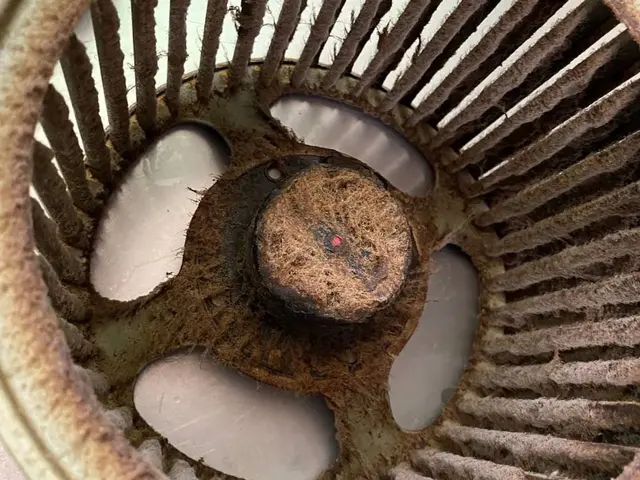 しつこい油汚れにも対応レンジフード清掃サービスの画像