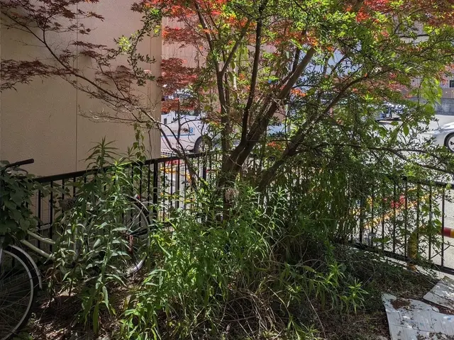 女性ならではの丁寧さで、あなたの庭を美しく整えます！サービスの画像