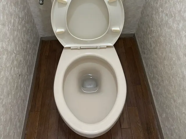 《トイレクリーニング》月100件の経験と技術。お部屋掃除のプロがお伺い致します！サービスの画像