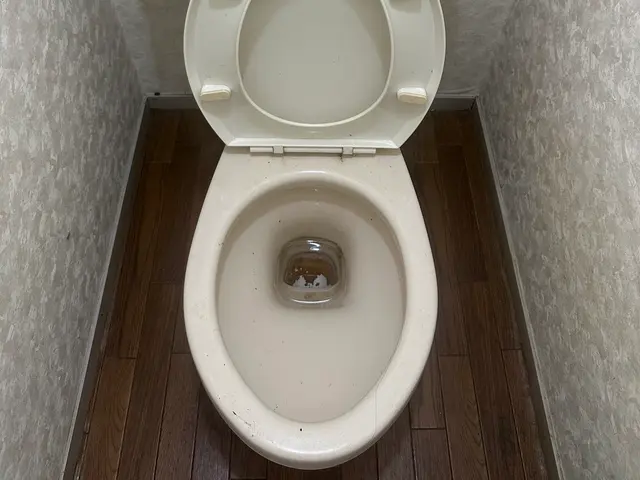 《トイレクリーニング》月100件の経験と技術。お部屋掃除のプロがお伺い致します！サービスの画像