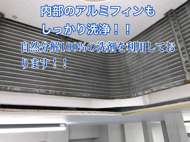 高評価店舗◆複数台大幅割引◆夜間対応可能◆安心損害保険加入◆米国農務省規格洗剤！サービスの画像