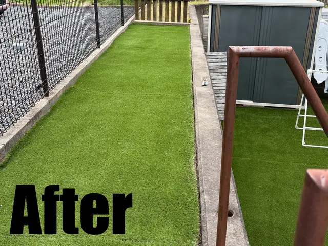 ☆雑草が気になる☆雑草で外の見た目が悪いそんな困り事を私が丁寧にお掃除致しますサービスの画像