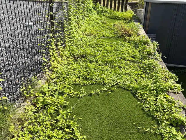 ☆雑草が気になる☆雑草で外の見た目が悪いそんな困り事を私が丁寧にお掃除致しますサービスの画像