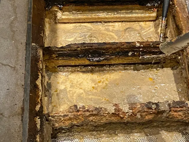 年間1000件の実績！プロの技で綺麗にしますサービスの画像