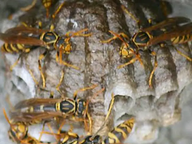 ☆出張料金なし☆   ◆猪名川町商工会所属◆   ※即日対応可※サービスの画像