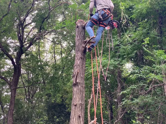【業歴13年の実績】年中無休◎造園施工管理技士◎アフターフォローも万全サービスの画像