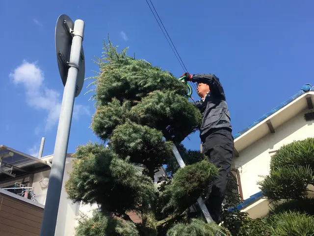 8年間で500件以上の実績！丁寧な作業と女性スタッフ同行で安心のお庭ケアサービスの画像