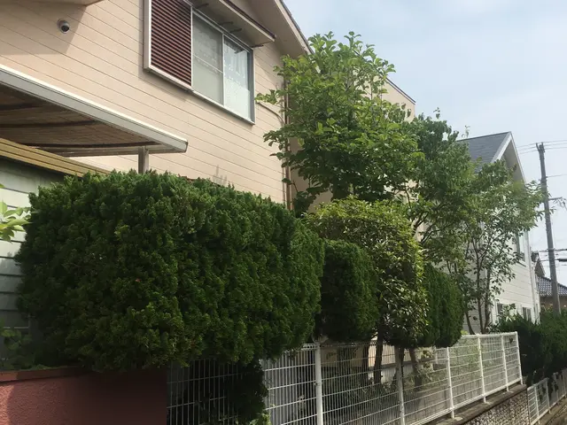 8年間で500件以上の実績！丁寧な作業と女性スタッフ同行で安心のお庭ケアサービスの画像