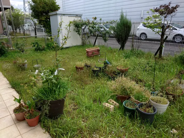 手作業にて草むしりを行います。サービスの画像