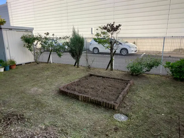 手作業にて草むしりを行います。サービスの画像