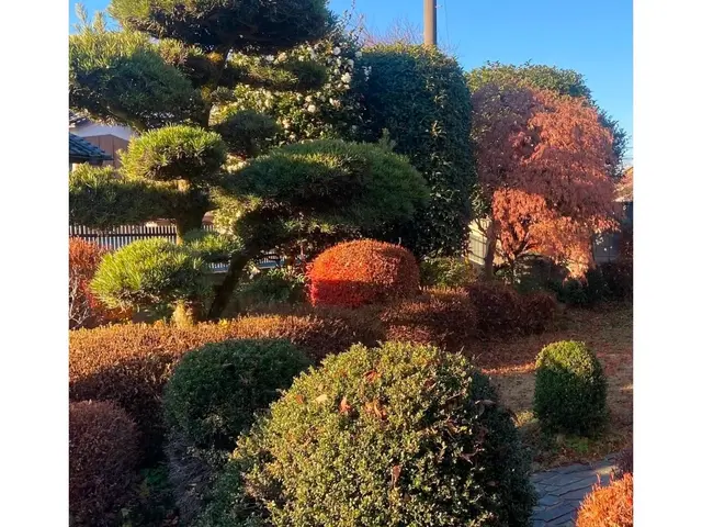 業歴10年以上の職人が伺います！サービスの画像