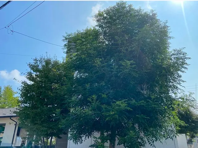 業歴10年以上の職人が伺います！サービスの画像