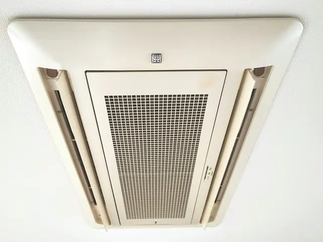 自然由来の “エコ洗剤” で優しくお掃除するので、デリケートな方にも安心・安全！サービスの画像