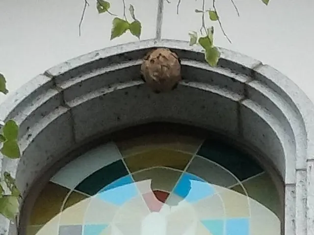 ◆年中無休で駆けつけます◆営業時間外のご予約もご相談可能です！サービスの画像