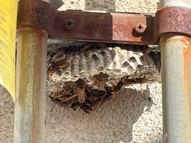 ◆年中無休で駆けつけます◆営業時間外のご予約もご相談可能です！サービスの画像