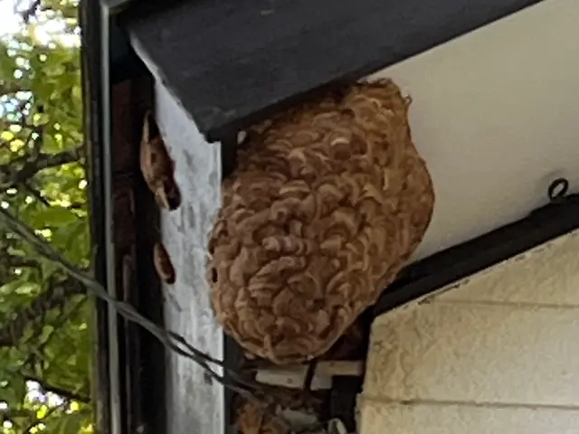 ◆年中無休で駆けつけます◆営業時間外のご予約もご相談可能です！サービスの画像