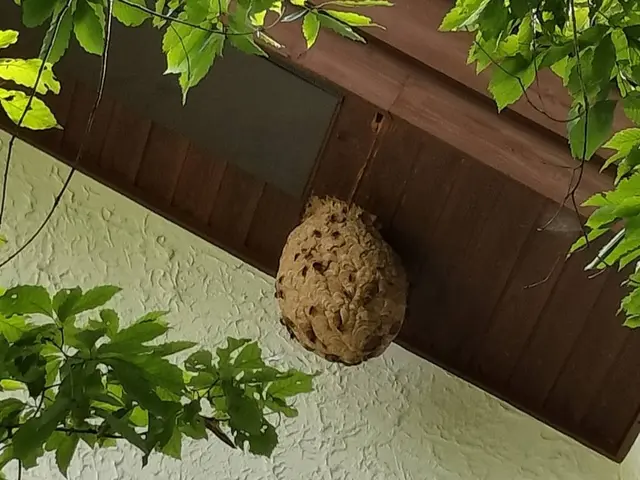 ◆年中無休で駆けつけます◆営業時間外のご予約もご相談可能です！サービスの画像