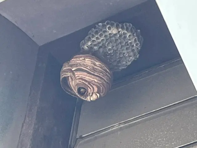 ◆年中無休で駆けつけます◆営業時間外のご予約もご相談可能です！サービスの画像