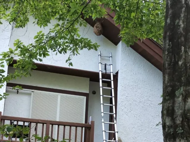 ◆年中無休で駆けつけます◆営業時間外のご予約もご相談可能です！サービスの画像