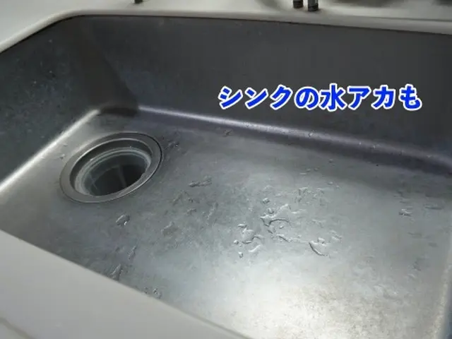 【入退去清掃】水アカ、カビも徹底除去で新入居者さんも満足のプロの清掃サービスの画像